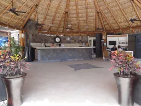 Park Royal Homestay Los Cabos - Réception