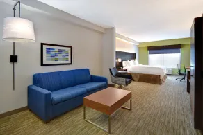 Holiday Inn Express Hotel & Suites Smyrna-Nashville Area by IHG - Værelse