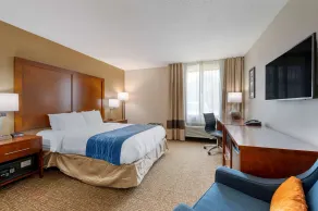 Comfort Inn Anderson South - Chambre