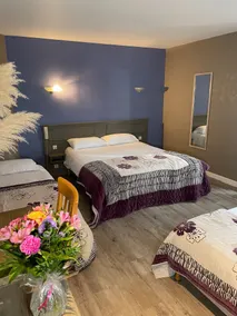 Hôtel le Baudiere - Room
