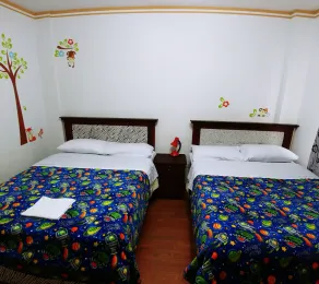 Hostal Arauco - Room