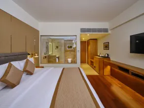 Pride Premier Udaipur - Rom