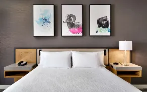 Hilton Garden Inn Bozeman - Chambre