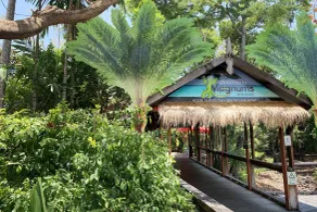 Airlie Beach Magnums - Adults Only - Reception