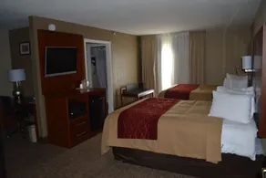 Comfort Inn Savannah Midtown - Zimmer