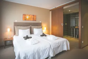Johan Design & SPA Hotel - Room