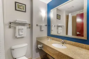 Comfort Suites Atlanta Airport - Chambre