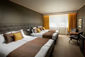 Hotel Ísland – Spa & Wellness Hotel - Room