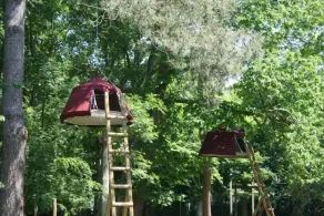Woody Park - Room