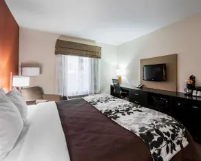 Sleep Inn & Suites Elk City Route 66 - Chambre