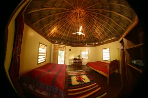 Cohune Palms River Cabanas - Room