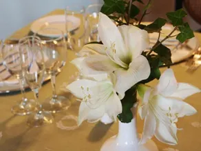 Hotel Aurora - Restaurant