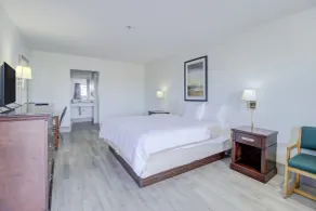  OYO Malden Airport Inn - Chambre