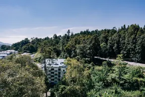 Hotel De' La Ferns, Cameron Highlands - Vue de la chambre