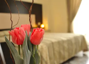 Hotel Gabbiano - Rum