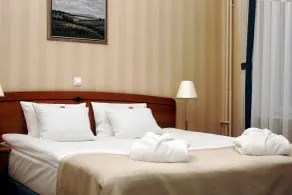 Focus Hotel Premium Pod Orłem - Room