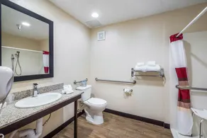 Red Roof Inn Ocala - Salle de bain