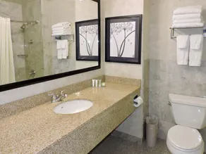 Marco LaGuardia Hotel by Lexington - Salle de bain