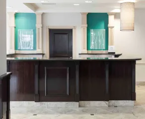 Hilton Garden Inn Dallas Lewisville - Réception