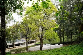 Wayanad De Mount Resort By RAK rooms - Boendeområde