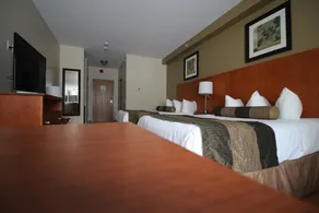 Quality Inn & Suites - Værelse