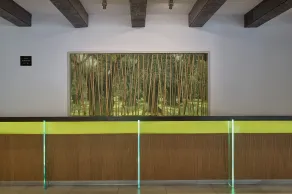 Atlantica Akti Zeus Hotel - Resepsjon