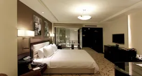Lemon Tree Premier 2, Sector 29 Gurugram - View from room