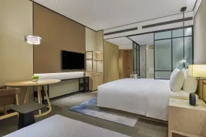 Doubletree By Hilton Shenzhen Airport - View from room