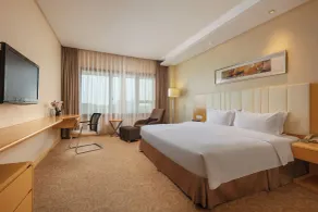Landison Airport Hotel Hangzhou - Camera