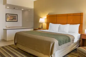 Comfort Inn Metro Airport - Salle de bain