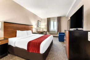 SureStay Plus by Best Western Reading North - Chambre