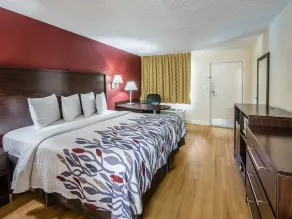 Red Roof Inn Orlando South - Florida Mall - Chambre
