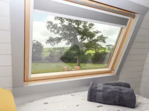 Under Oak Pod - Rom