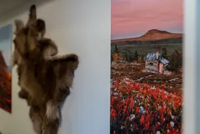Sporthotellet Idre - Réception