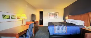Economy 7 Inn- Newport News - Habitación