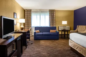 Suburban Studios Arlington Heights Elk Grove - Room
