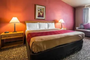 Brush Inn - Chambre