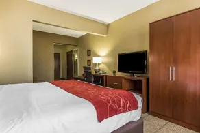 Comfort Suites Effingham Central - Chambre