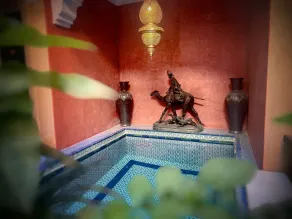 Riad Lapis-Lazuli - Piscine