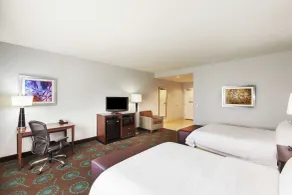 Hampton Inn & Suites Shreveport/Bossier City Airline Drive - Chambre