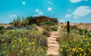 Carmey Avdat Farm - Room
