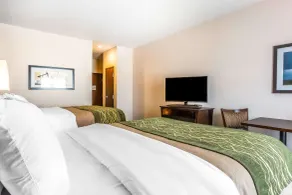 Comfort Inn & Suites Moore - Oklahoma City - Chambre