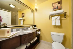 Comfort Suites Bay City East - Salle de bain