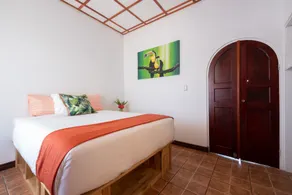 Bird of Paradise Hotel - Zimmer
