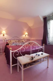 Contact Hôtel de France Contres-Beauval-Cheverny - Værelse
