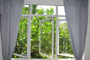 Jungle Fence - Vista dalla camera