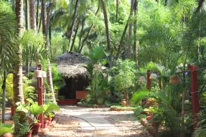 Palm Trees Ayurvedic Heritage - Room