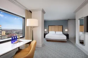 Hyatt Regency Dulles International Airport - Chambre