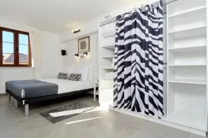 Zebra - Room
