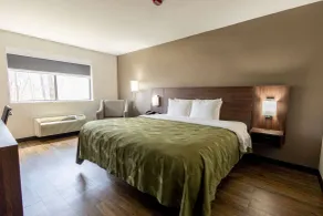 Quality Inn Carrollton - Room